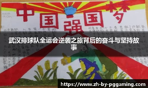 武汉排球队全运会逆袭之旅背后的奋斗与坚持故事